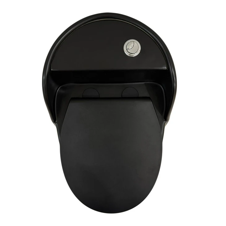 Black Ceramic Bathroom Toilet