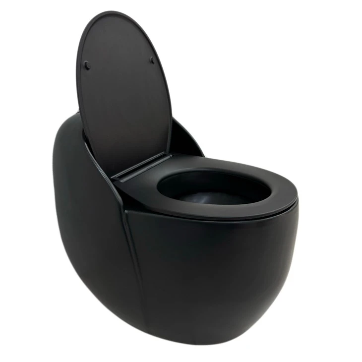 Black Ceramic Bathroom Toilet