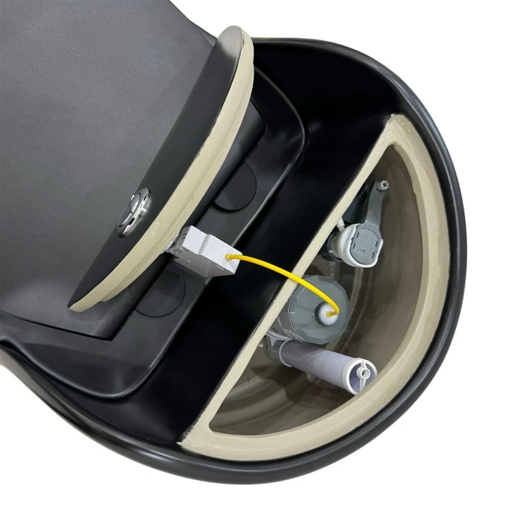 Black Ceramic Bathroom Toilet