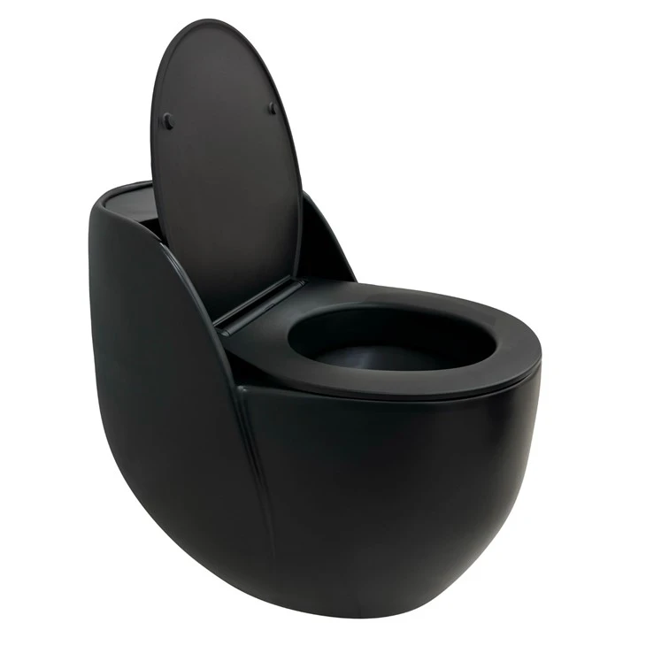 Black Ceramic Bathroom Toilet